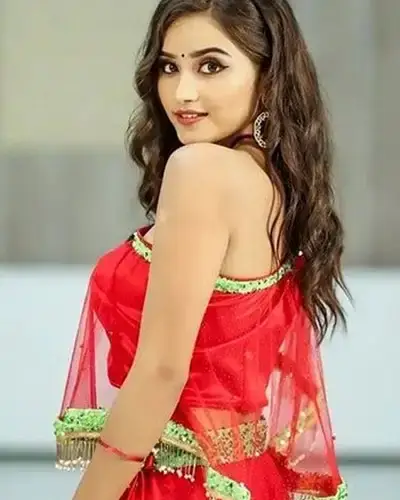 Call Girls Service Dhampur